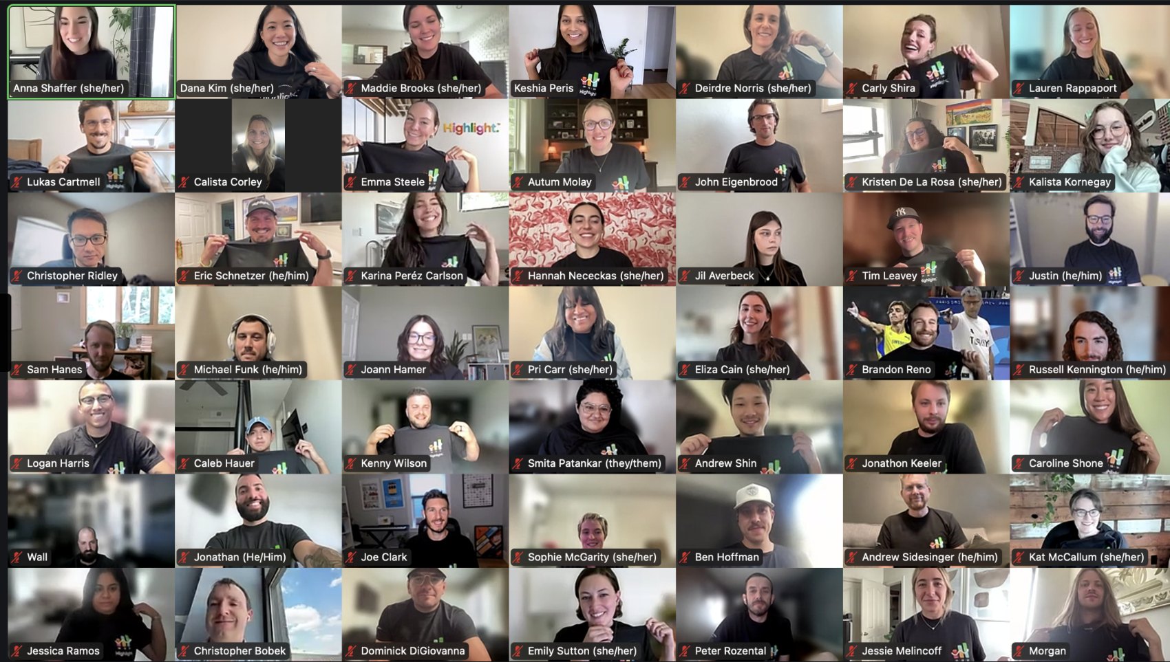 The Highlight team on a company-wide video call